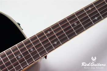 TDP561C - Black Gloss